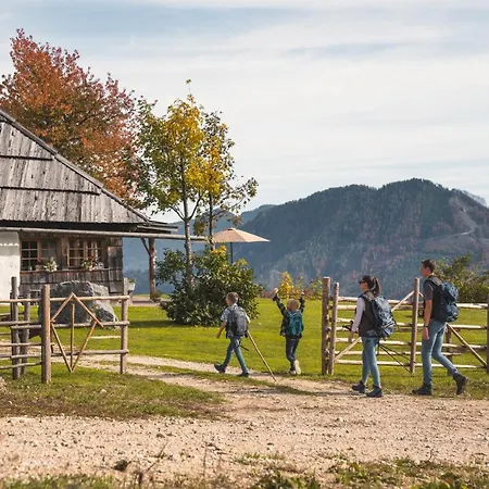 Chalet Obiralmhütte Meierhof Bad Eisenkappel